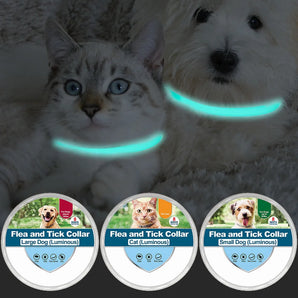 Anti Lost Luminous Dog Cat Flea Collar Tick Collar Reflective Pet Cat Anti Fleas Ticks Anti-parasitic Collar 8 Month Protection