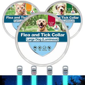 Anti Lost Luminous Dog Cat Flea Collar Tick Collar Reflective Pet Cat Anti Fleas Ticks Anti-parasitic Collar 8 Month Protection