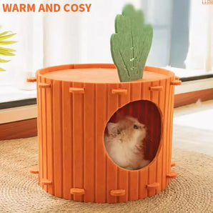 Carrot semi-enclosed cat house